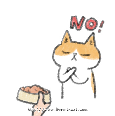 貓咪拒食