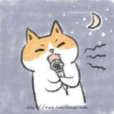 貓咪夜唱