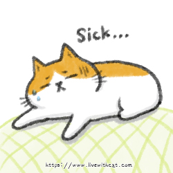 貓生病